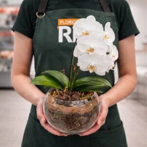 Orquídea no Aquário